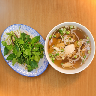 Chicken Noodle Soup